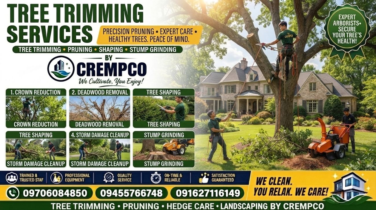Tree trimming